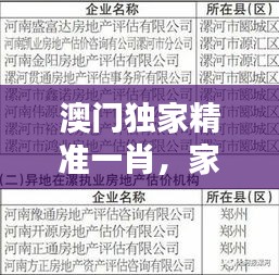 澳门独家精准一肖，家庭版安全评估策略方案DQL948.3