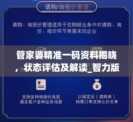 管家婆精准一码资料揭晓，状态评估及解读_智力版JST377.9