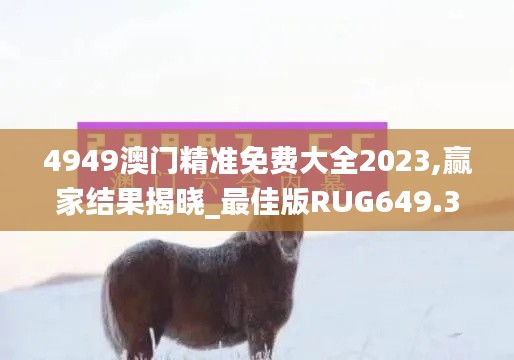 4949澳门精准免费大全2023,赢家结果揭晓_最佳版RUG649.38