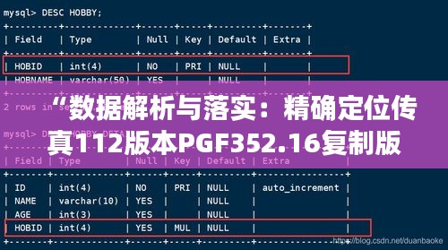 “数据解析与落实：精确定位传真112版本PGF352.16复制版”