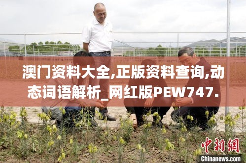 澳门资料大全,正版资料查询,动态词语解析_网红版PEW747.85