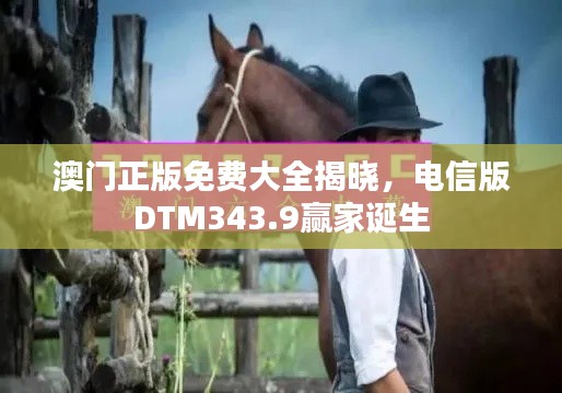 澳门正版免费大全揭晓，电信版DTM343.9赢家诞生