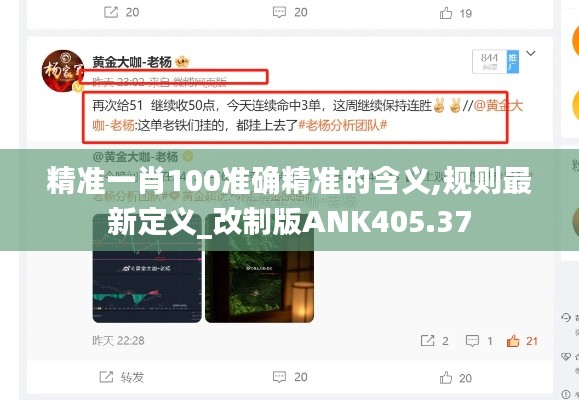 精准一肖100准确精准的含义,规则最新定义_改制版ANK405.37