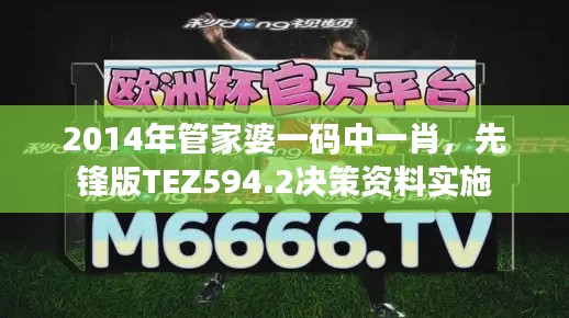 2014年管家婆一码中一肖，先锋版TEZ594.2决策资料实施