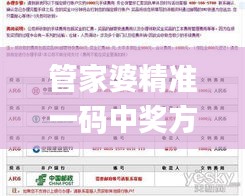 管家婆精准一码中奖方案_MFK783.89，安全保障版