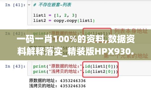 一码一肖100%的资料,数据资料解释落实_精装版HPX930.67