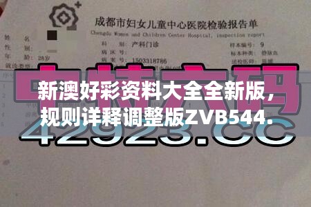 新澳好彩资料大全全新版，规则详释调整版ZVB544.36