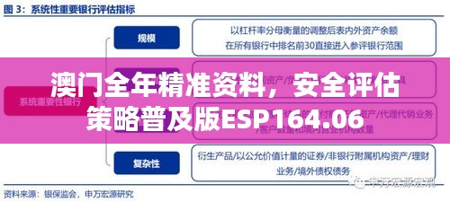 澳门全年精准资料，安全评估策略普及版ESP164.06