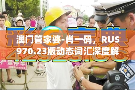 澳门管家婆-肖一码，RUS970.23版动态词汇深度解析