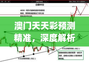 澳门天天彩预测精准，深度解析解读_经典版VDN70.72