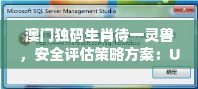 澳门独码生肖待一灵兽，安全评估策略方案：UMK349.07预测版