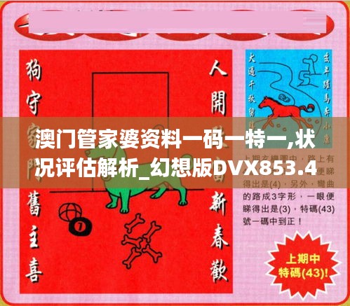 澳门管家婆资料一码一特一,状况评估解析_幻想版DVX853.4