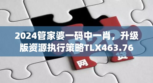 2024管家婆一码中一肖，升级版资源执行策略TLX463.76