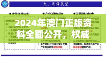 2024年澳门正版资料全面公开，权威解析GVD736.5最新标准