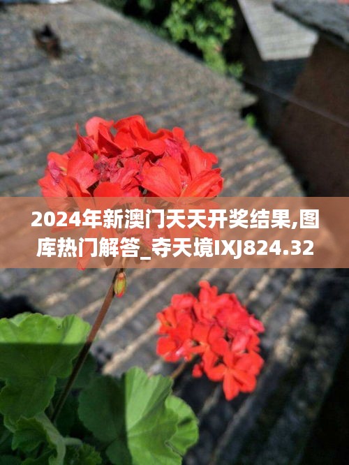 2024年新澳门天天开奖结果,图库热门解答_夺天境IXJ824.32