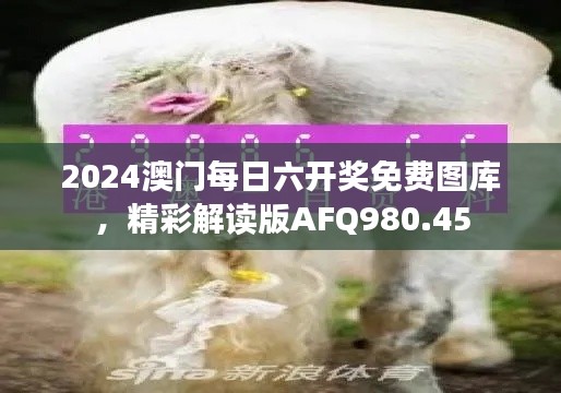 2024澳门每日六开奖免费图库，精彩解读版AFQ980.45