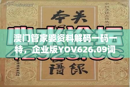 澳门管家婆资料解码一码一特，企业版YOV626.09词汇阐释