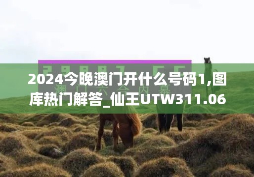 2024今晚澳门开什么号码1,图库热门解答_仙王UTW311.06