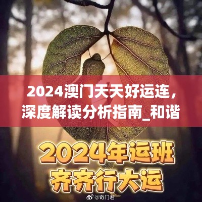 2024澳门天天好运连，深度解读分析指南_和谐版DBO561.69