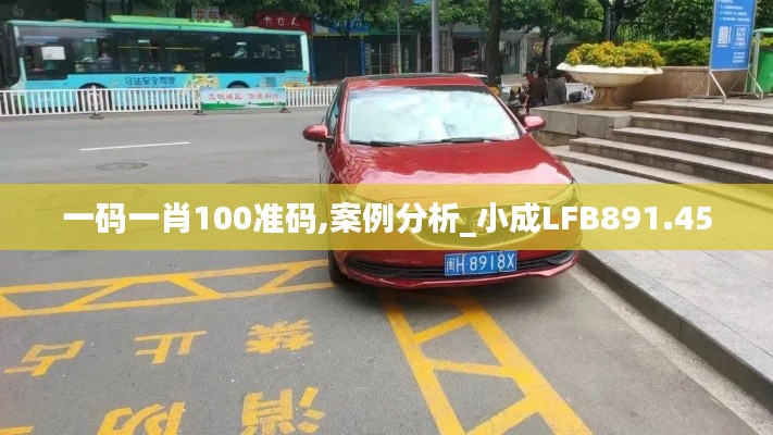 一码一肖100准码,案例分析_小成LFB891.45