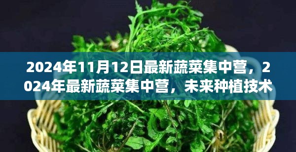 未来种植技术的探索与实践，最新蔬菜集中营在行动（2024年）