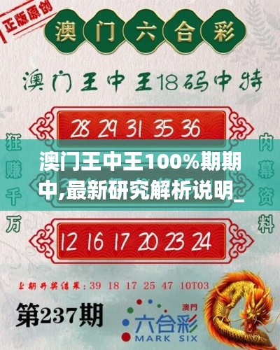 澳门王中王100%期期中,最新研究解析说明_TUI13.78丹元境