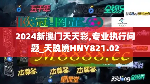 2024新澳门天天彩,专业执行问题_天魂境HNY821.02