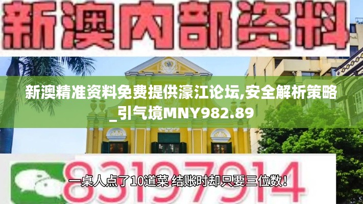 新澳精准资料免费提供濠江论坛,安全解析策略_引气境MNY982.89