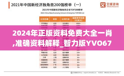 2024年正版资料免费大全一肖,准确资料解释_智力版YVO676.99