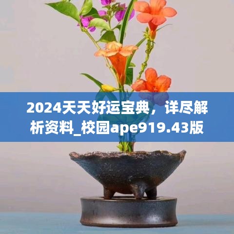 2024天天好运宝典，详尽解析资料_校园ape919.43版