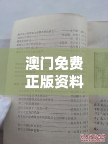 澳门免费正版资料大全及歇后语解析，时代资料详实版DRI729.68国际版