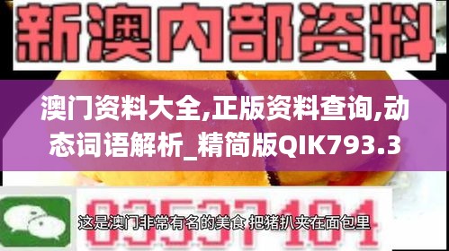 澳门资料大全,正版资料查询,动态词语解析_精简版QIK793.33