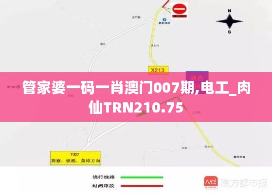 管家婆一码一肖澳门007期,电工_肉仙TRN210.75