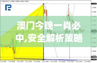 澳门今晚一肖必中,安全解析策略_准圣三境XJV718.72