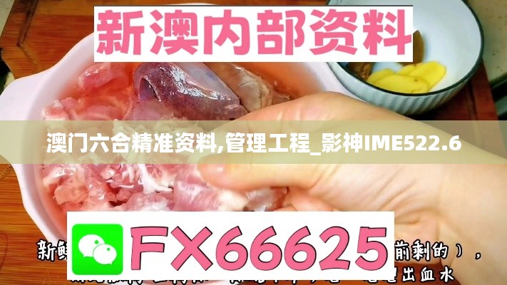 澳门六合精准资料,管理工程_影神IME522.6