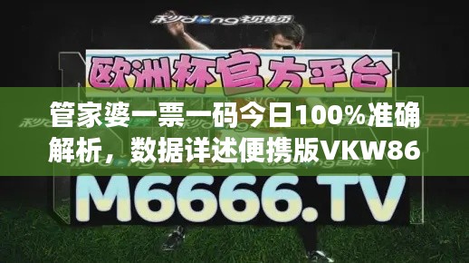 管家婆一票一码今日100%准确解析，数据详述便携版VKW86.48