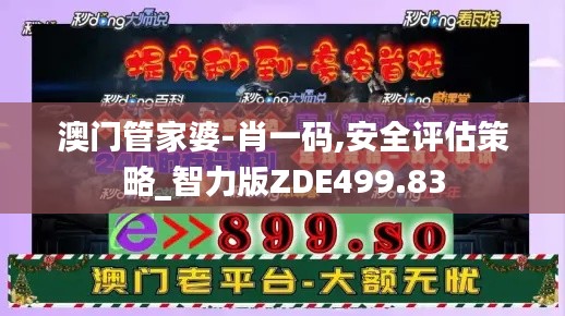 澳门管家婆-肖一码,安全评估策略_智力版ZDE499.83