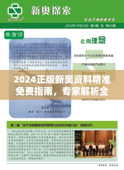 2024正版新奥资料精准免费指南，专家解析全集UAF485.08