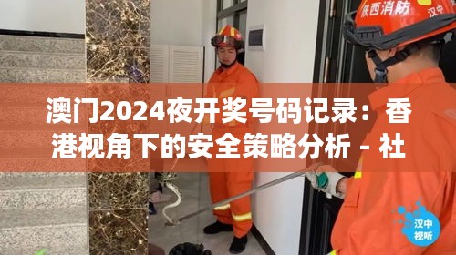 澳门2024夜开奖号码记录：香港视角下的安全策略分析 - 社区版TXZ725.46