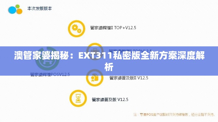 澳管家婆揭秘：EXT311私密版全新方案深度解析