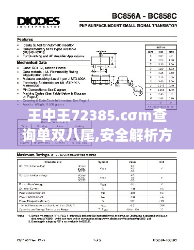 王中王72385.cσm查询单双八尾,安全解析方案_帝宫境EDH860.62