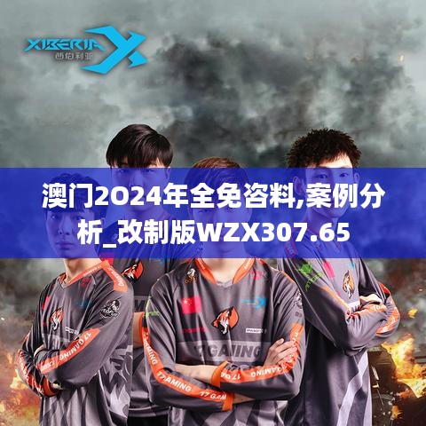 澳门2O24年全免咨料,案例分析_改制版WZX307.65