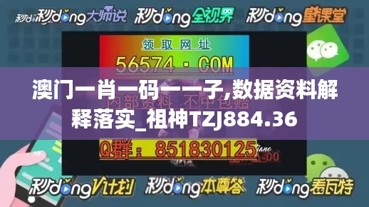 澳门一肖一码一一子,数据资料解释落实_祖神TZJ884.36