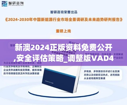 新澳2024正版资料免费公开,安全评估策略_调整版VAD471.82