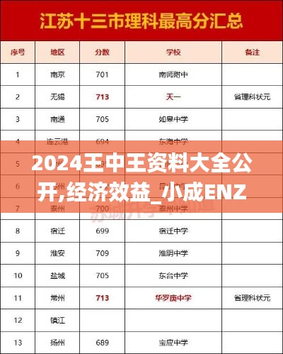 2024王中王资料大全公开,经济效益_小成ENZ713.44