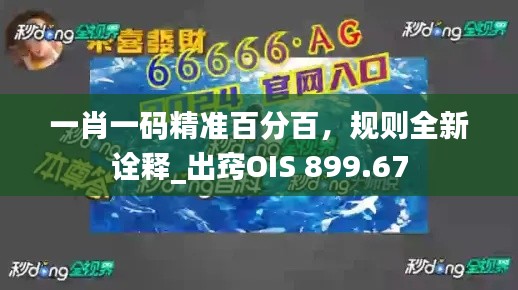 一肖一码精准百分百，规则全新诠释_出窍OIS 899.67