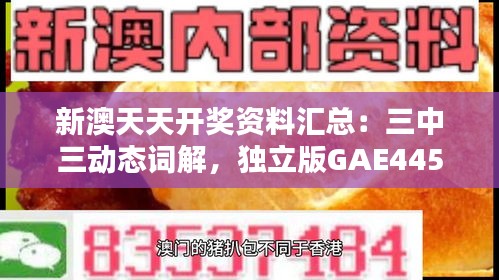 新澳天天开奖资料汇总：三中三动态词解，独立版GAE445.54