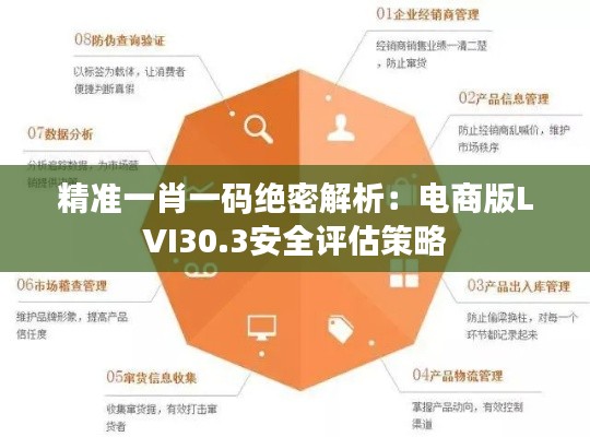 精准一肖一码绝密解析：电商版LVI30.3安全评估策略