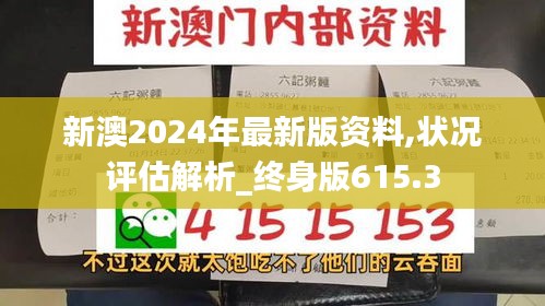 新澳2024年最新版资料,状况评估解析_终身版615.3