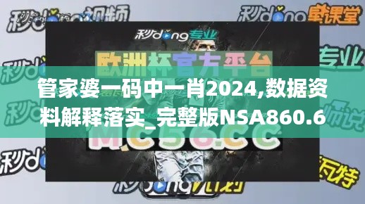 管家婆一码中一肖2024,数据资料解释落实_完整版NSA860.64